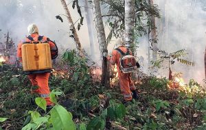 Images on the presidential office Twitter account on Monday showed firefighters wearing bright orange or yellow clothing using water backpacks to douse flames.