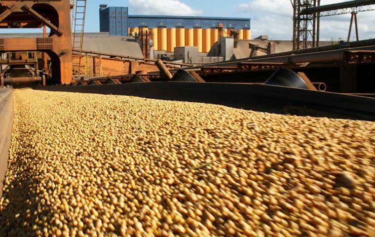 Due to the ongoing US/China trade conflict, Brazil and Argentina continue to sell more soybeans to China, world's biggest purchaser, at the expense of the US