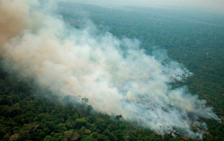 While Brazil's government has launched a firefighting initiative, with troops and planes those efforts will only extinguish smaller blazes and help prevent new fires