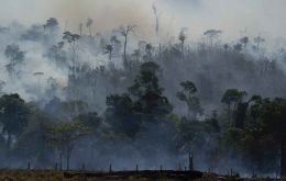  The situation in the Amazon is “very urgent,” stressed Gerhard Dieterle, executive director of the International Tropical Timber Organization