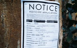 A ban on the use of glyphosate and other commercial pesticides in public spaces such as parks has been in place since January 2017