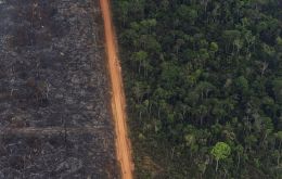 Brazil has enjoyed strong backing from Trump's government after outrage in Europe over evidence that logging, industry and fires have multiplied in the Amazon under Bolsonaro.