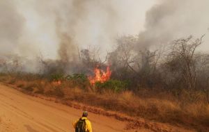 Much to environmentalists' chagrin, Bolivia's government recently authorized farmers to burn 20 hectares instead of the usual five hectares