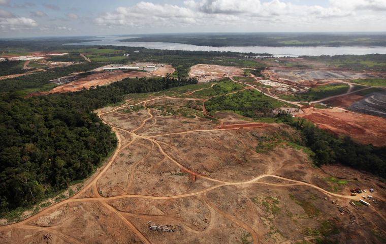 Brazil's leading meat export industry group and other agribusiness associations joined NGOs to call for an end to deforestation on public lands