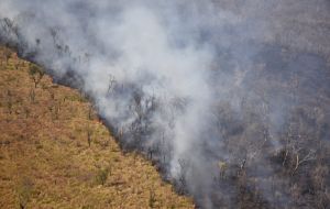 The Bolivian fires, which mirror those burning across swathes of Brazil, threaten to derail Morales' bid for a fourth consecutive term in office