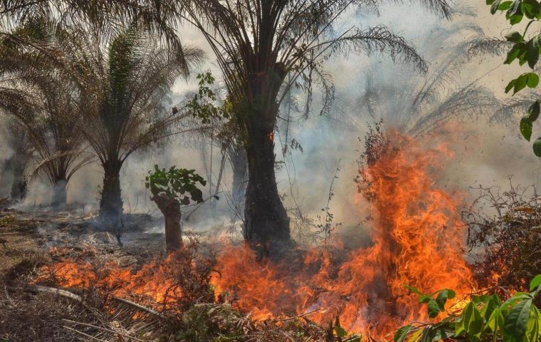  Malaysian minister Kork concerned about Indonesian authorities saying they have sealed off land belonging to subsidiaries of Malaysian owned oil palm plantations