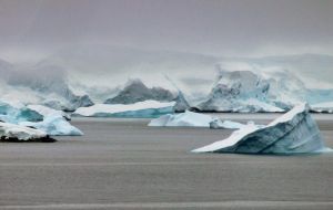 Seas have grown acidic, potentially undermining their capacity to draw down CO2; warmer surface water has expanded the force and range of deadly tropical storms