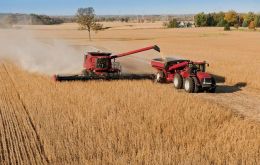 While large regions of the grain exporter's Pampas farm belt are in good condition, one-fifth of the growing area has been hit by arid weather over recent weeks