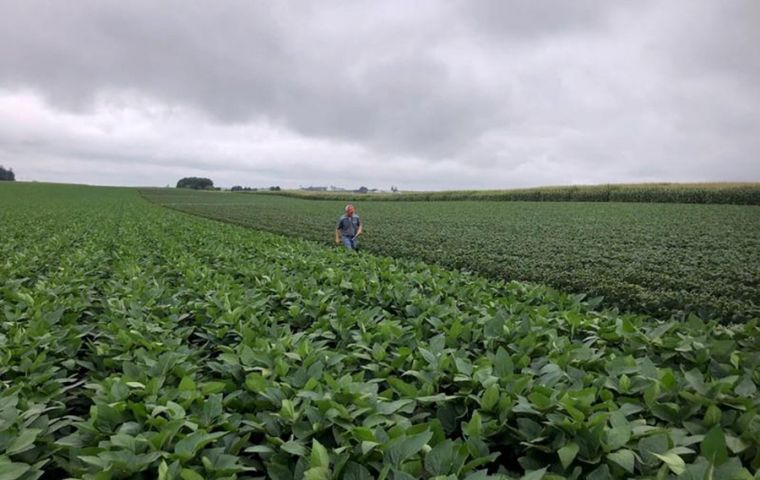 “In the U.S., where the technology has already been launched, weeds are different from those in Brazil. There dicamba is an essential tool,” Aprosoja said.