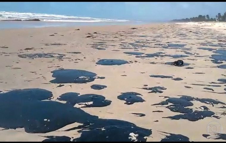Brazilian police are investigating the origin of the oil, which has killed at least seven turtles and forced swimmers and fishermen to stay away from contaminated areas. 