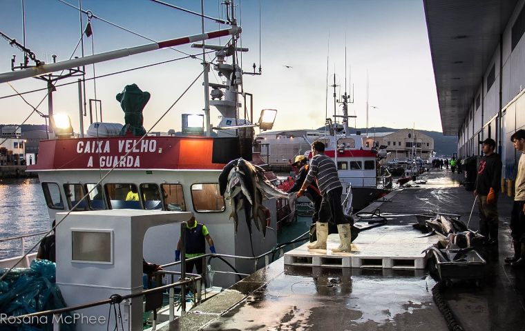 Vigo, the main hub for trading Falklands' fishing industry produce 
