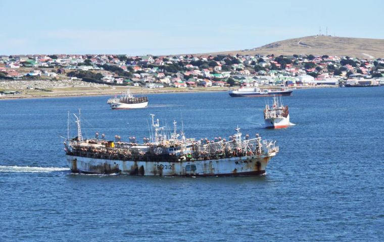 Fishing accounted for 43% of the Falklands GDP from 2007-16 and nearly all its exports in 2018 went to the EU.(Pic R. Goodwin)