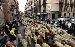 The annual event allows shepherds to exercise their right to use traditional routes to migrate their livestock from northern Spain to more southerly pastures