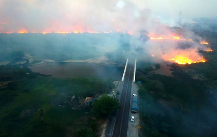 The governor's office in Mato Grosso do Sul said the fires were “bigger than anything seen before” in the region. More than 50,000 hectares have been affected.
