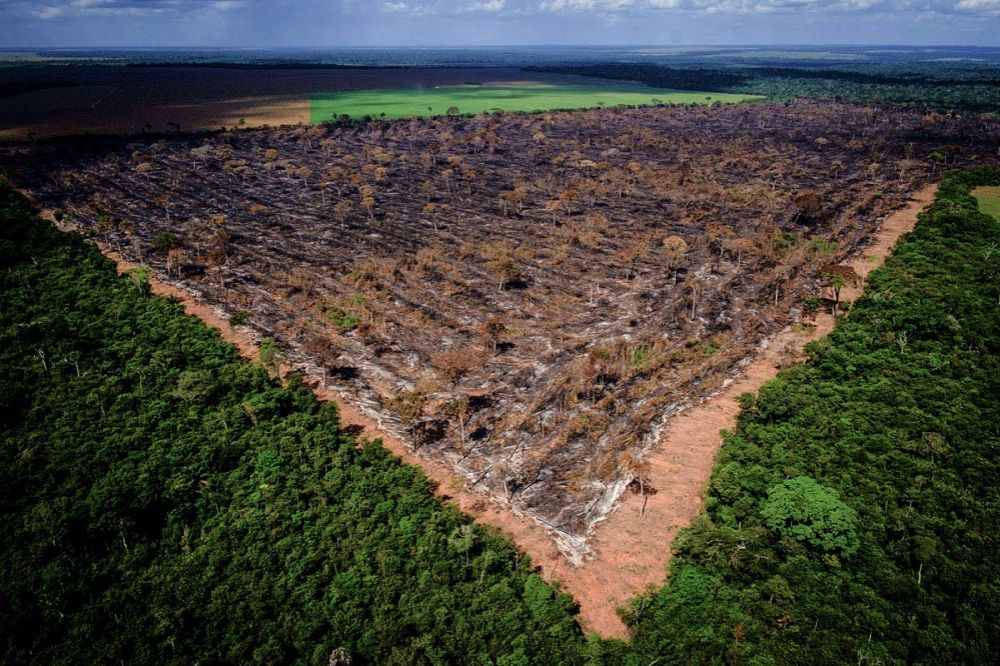 Example of some of the deforestation occurring in Brazil's Amazon rainforest.