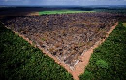 Brazil’s INPE space research agency data showed deforestation soaring 29.5% to 9,762 square kilometers for the 12 months through July 2019