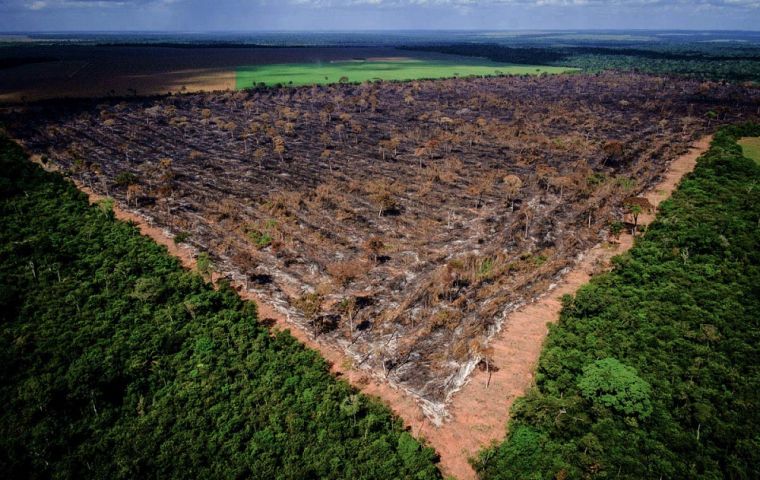 Brazil’s INPE space research agency data showed deforestation soaring 29.5% to 9,762 square kilometers for the 12 months through July 2019
