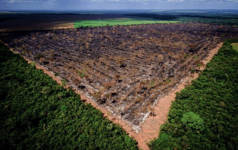 Record deforestation in the Amazon rainforest confirms official ...