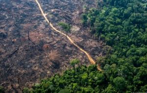However Bolsonaro cast doubt on Brazil’s commitment to combating deforestation. “You won’t end deforestation or burning. It’s cultural,” he told reporters