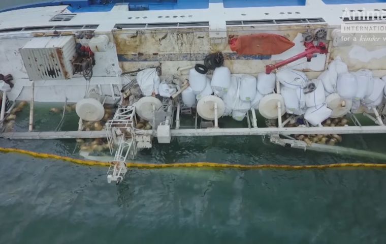 Drone footage released on the BBC showed the bodies of dozens of drowned animals floating next to the vessel.

