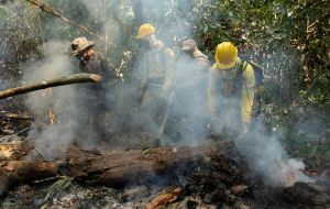 Making the arrests “was an act of aggression,” congressman Airton Faleiro told reporters at a press briefing in Brasilia organized by the environmental caucus