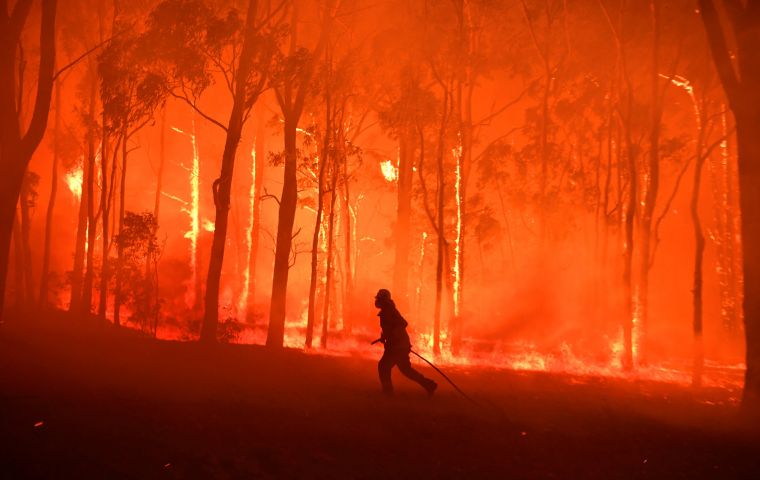 The fires, which covered parts of South-east Asia with thick clouds of ash and smoke, may have released the equivalent of 709 million tons of carbon dioxide 