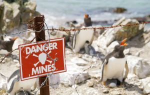 Warnings in fences surrounding mined fields in the Falklands. Many areas and beaches have been successfully cleared since