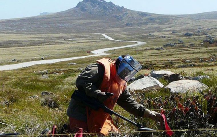 A team of very efficient Zimbabwean experts working in mine clearance in the Falkland Islands