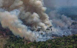 In his weekly broadcast, Bolsonaro accused DiCaprio of “collaborating with the fires in the Amazon” by donating US$500,000 to a group he said had started fires