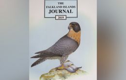 The front cover is a beautiful painting of the Falkland Peregrine Falcon by Ian Strange.