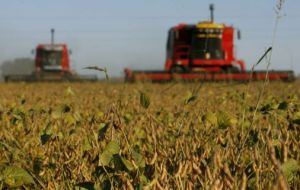 The new administration decree boosted the rate for soybeans, soy oil and soymeal to 30% from about 25% and lifted the levy on corn and wheat to 12% from 7%