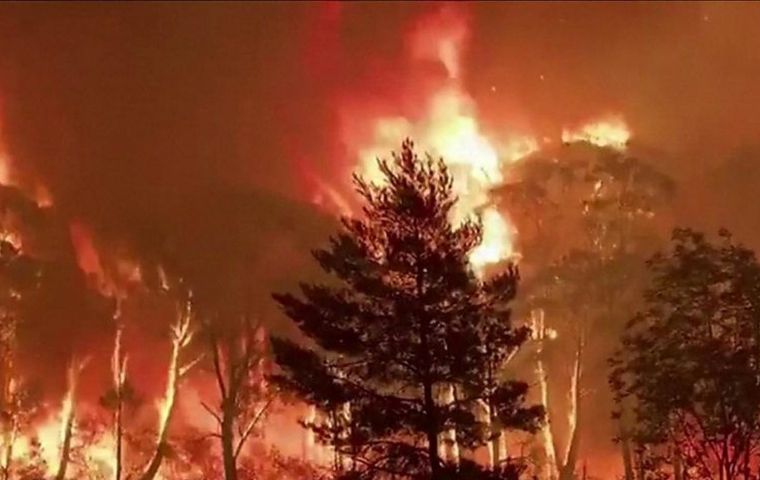 Hundreds of bushfires have been raging across Australia for months, including a “mega-blaze” burning north of Sydney, the country's biggest city.