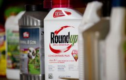 US said in a friend of the court brief that glyphosate is not a carcinogen and as a result a warning on the label was not required as California state law demands.