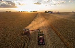 Soybeans have been hit heavily by Chinese tariffs on U.S. goods in the tit-for-tat trade row, hurting U.S. soy farmers who depend heavily on the Chinese market. 