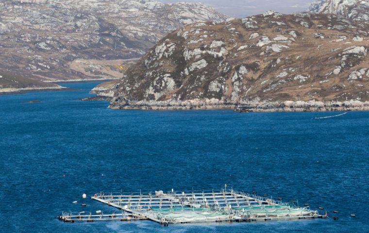 Loch Duart has used the technology to launch sting operations on outlets suspected of selling inferior fish, falsely bearing the company's brand.