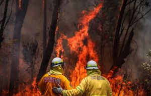 Sydney is spending US$ 5 million on fireworks display, funds that the Change.org petition argues would be better spent on supporting volunteer firefighters 