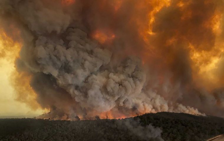 Bushfires have scorched more than 4 million hectares of bush land and destroyed more than  1,000 homes, including 381 homes destroyed on the south coast. (AP)