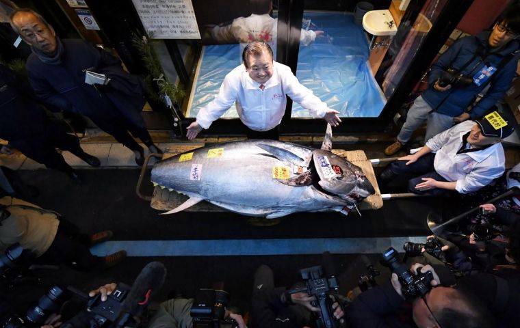 “This is the best,” Kimura told reporters after the pre-dawn auction. “Yes, this is expensive, isn't it? I want our customers to eat very tasty ones this year too” 