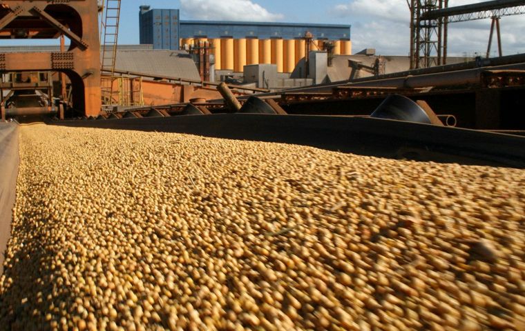 Figures released by the Ministry of Agriculture show that as of Dec. 18, exporters had registered 5.52m tons of forward sales for export of the 2019-20 soybean crop