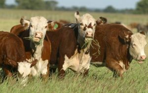 In Uruguay the farmers associations complained that the rebates amounted to some US$ 60 million and would lead to a drop in cattle prices.