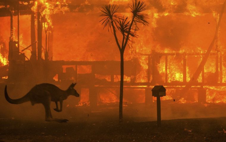 Some 53% of Australians have donated to a bushfire appeal during this season, a survey conducted by the fundraising and marketing consultancy More Strategic