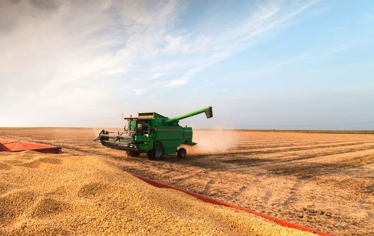 The forecast is above the 51 million tons estimated in October, but below the previous season's harvest of 55.1 million tons