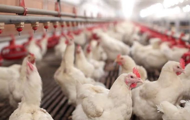 Since 2003, the H5N1 avian flu has killed 455 people worldwide, according to the World Health Organization.