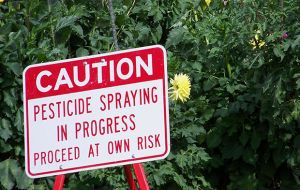In 2015, the World Health Organization's cancer arm classified glyphosate as “probably carcinogenic to humans.”