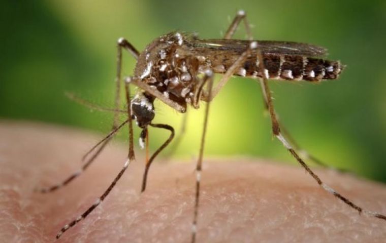 One of the victims of the dengue outbreak is Paraguay's First Lady, Silvana Lopez Moreita, following on her husband, president Mario Abdo Benítez convalescence in January 