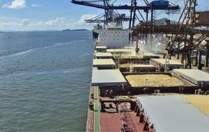 Rains have also disrupted soy shipments, as waiting time for vessels at Paranaguá, a key grain exporting port, widened to 11 days this week from nine days earlier
