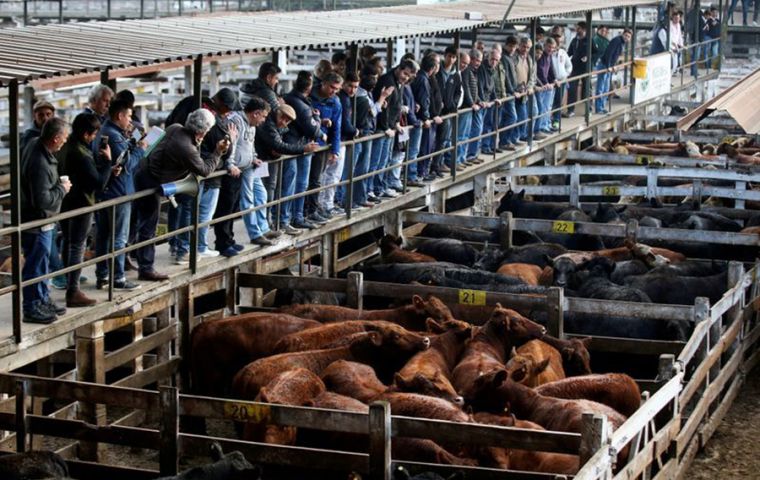 Soaring demand from China last year saw sales of Argentine frozen boneless beef double to 408,500 tonnes, worth around US$ 2 billion, official data show