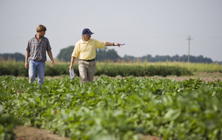 The Argentine government could increase withholdings by 3%, which in the case of soybeans could go up by US$ 513 million