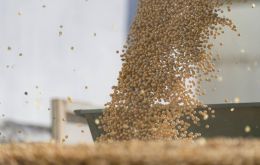 Brazil could export 9 million tons of soybeans in February, up 80% year on year, on good harvest pace and currency depreciation, Conab said last week.
