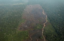 Destruction in Brazil’s portion of the Amazon rose 30% in March, compared to the same month a year ago, according to the country’s space research agency, INPE. 